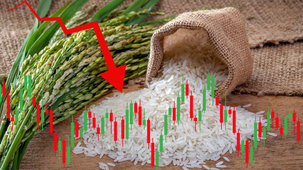 Trump tariff warning, Indian rice exporter stocks, LT Foods share price crash