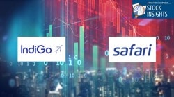 Indigo & Safari: Why the “December effect” could push these stocks higher
