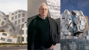 architect frank dehry