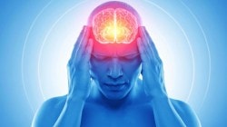 Deadly brain infections surge in 2025: Kerala’s amoeba outbreak to Japanese encephalitis spread