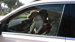 Congress MP Renuka Chowdhary, congress, parliament winter session, winter session, renuka chowdhury, parliament, dog in parliament, parliament dog row