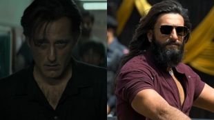 dhurandhar box office collection worldwide