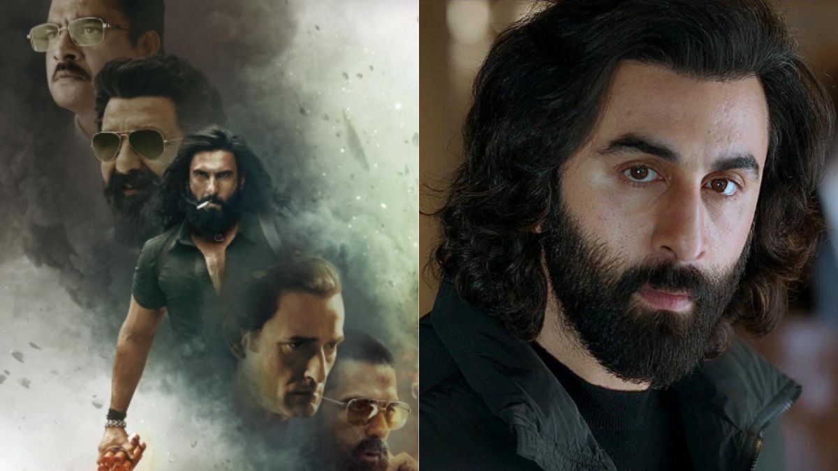 dhurandhar vs animal box office collection