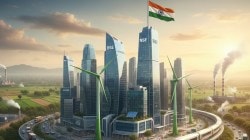 India’s Goldilocks economy