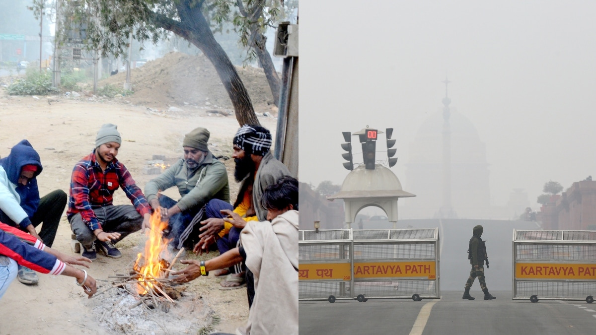 Weather today: Dense fog grips Delhi, Punjab, Haryana, UP; IMD issues orange, yellow alerts - Delhi airport issues advisory