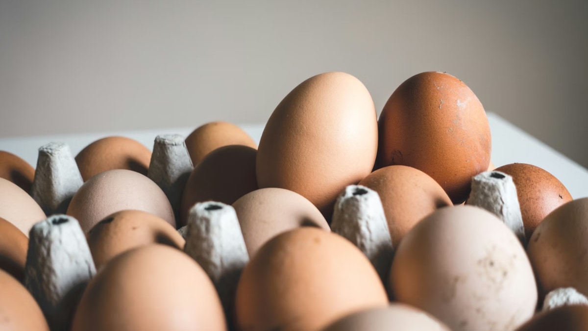 Eggoz founder has denied the viral “cancer-causing eggs” claims, stating that the brand does not use any banned drugs in its eggs, and added that the “fear-mongering” spread by the video has shaken trust of people.