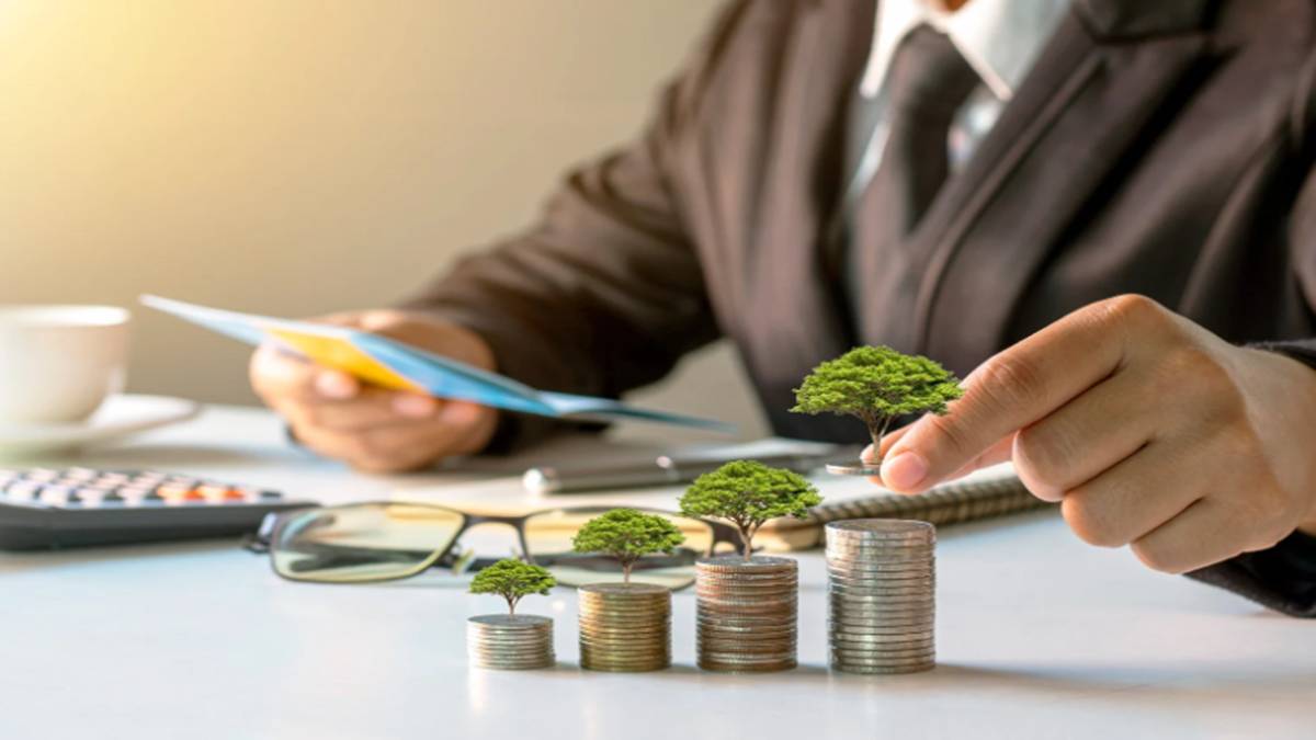 investment growth investment growth