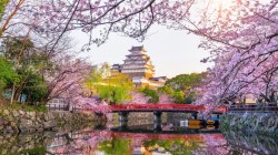 Indians have a new favourite international destination — And it’s not Europe or any of the usual visa-free countries