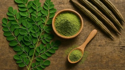 Feeling tired all the time? This everyday Indian superfood may be the missing link