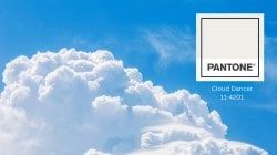 Pantone picks Colour of the Year 2026: What is ‘Cloud Dancer’?