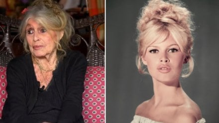 Brigitte Bardot Brigitte Bardot