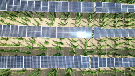 Strategic infographic of Waaree Energies' investment in United Solar Holding’s polysilicon plant in Oman, showcasing the solar PV value chain integration and Emkay Global’s target price of Rs 4,260.