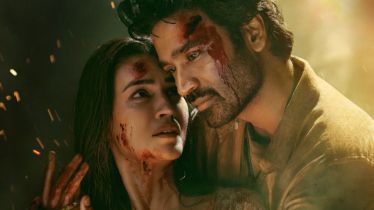 tere ishk mei box office collection