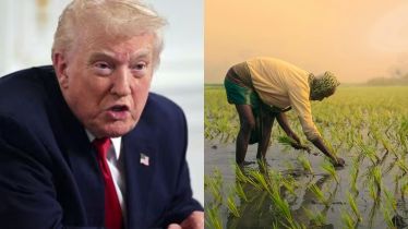 Trump warns India over ‘rice dumping’ amid farmers’ concerns
