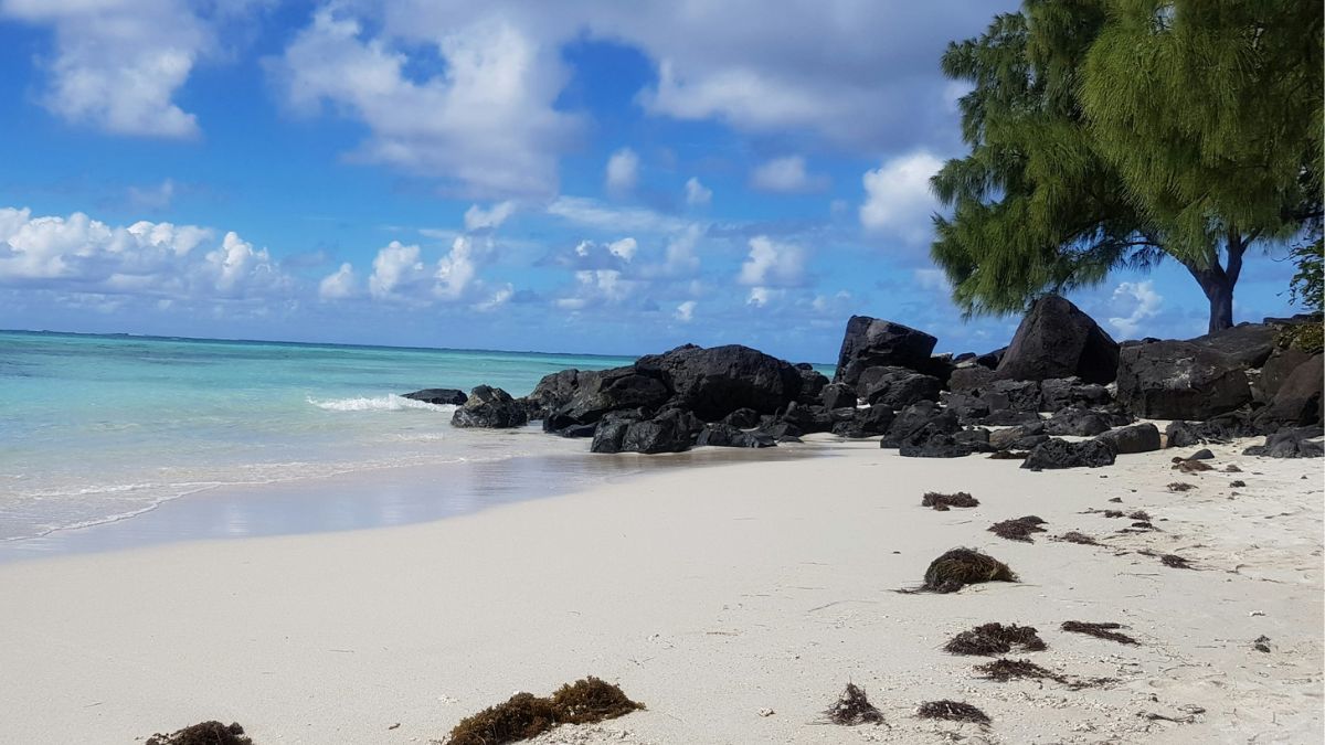 Most searched travel destinations by Indians in 2025