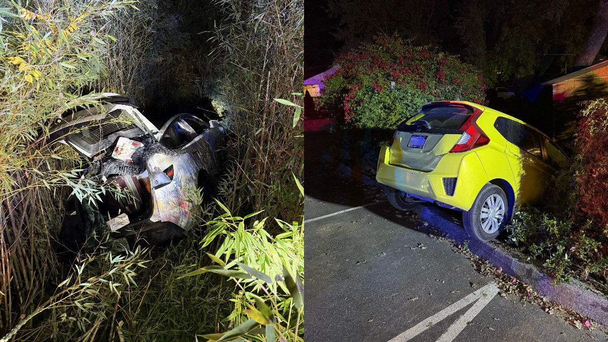 Indian-origin millionaire arrested after Tesla crash, fire attempt