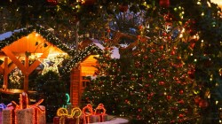 AP Dhillon LIVE in Delhi to Christmas markets: Things to do in Delhi this weekend