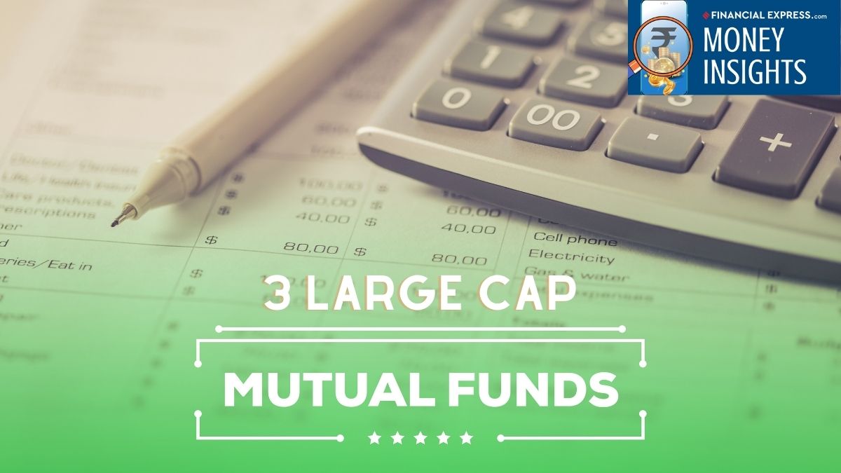 Large-cap mutual funds: Why ‘safety’ is the new growth strategy amidst midcap froth. (Image Source: Canva)