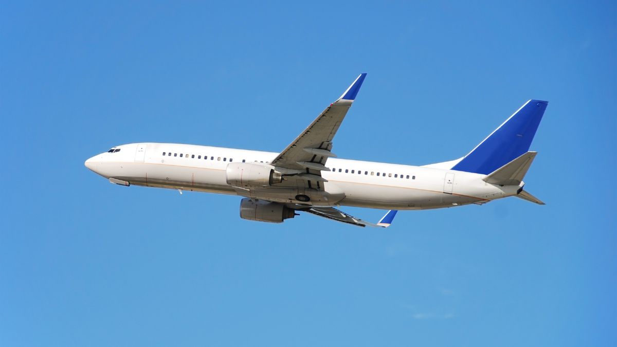 Airbus sees India deliveries at two aircraft a week for the next 10 years