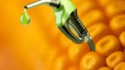 Higher maize based ethanol prices driving away farmers from  growing oilseeds & pulses: Survey