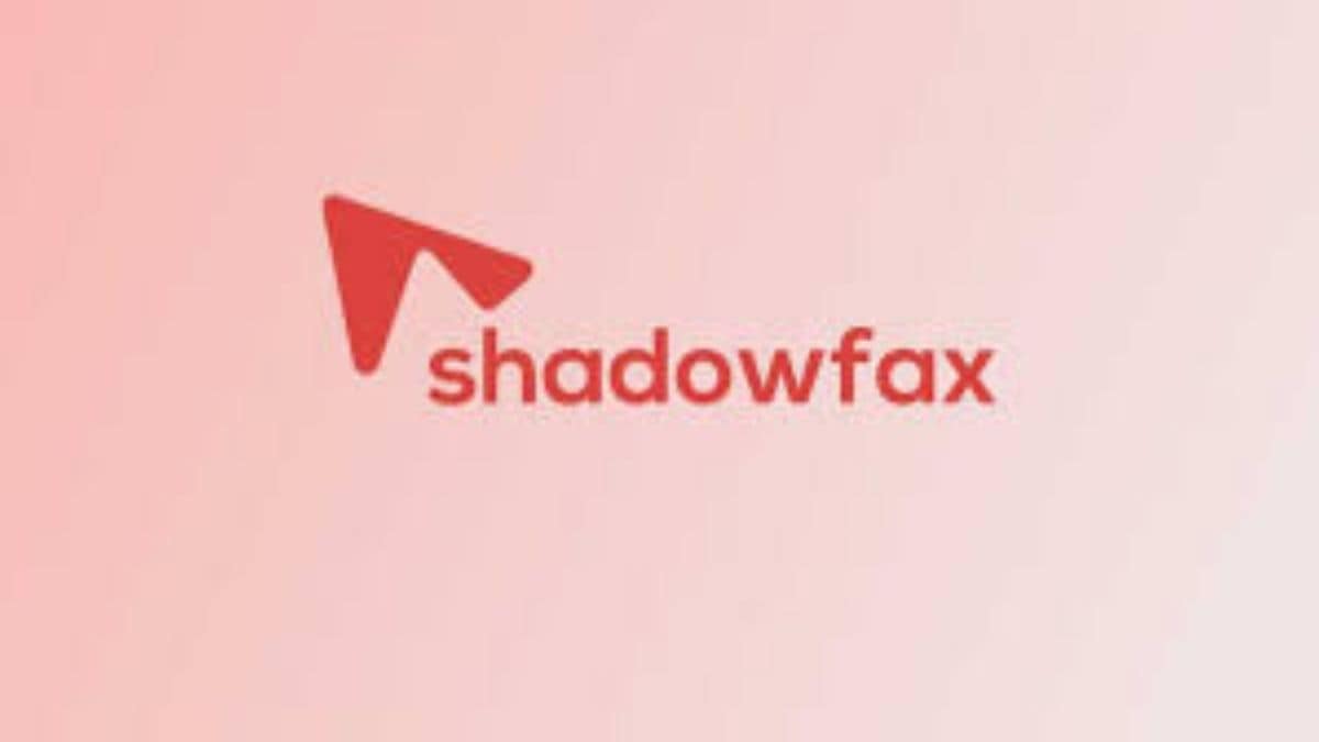 IPO-bound Shadowfax rides on express parcel biz growth