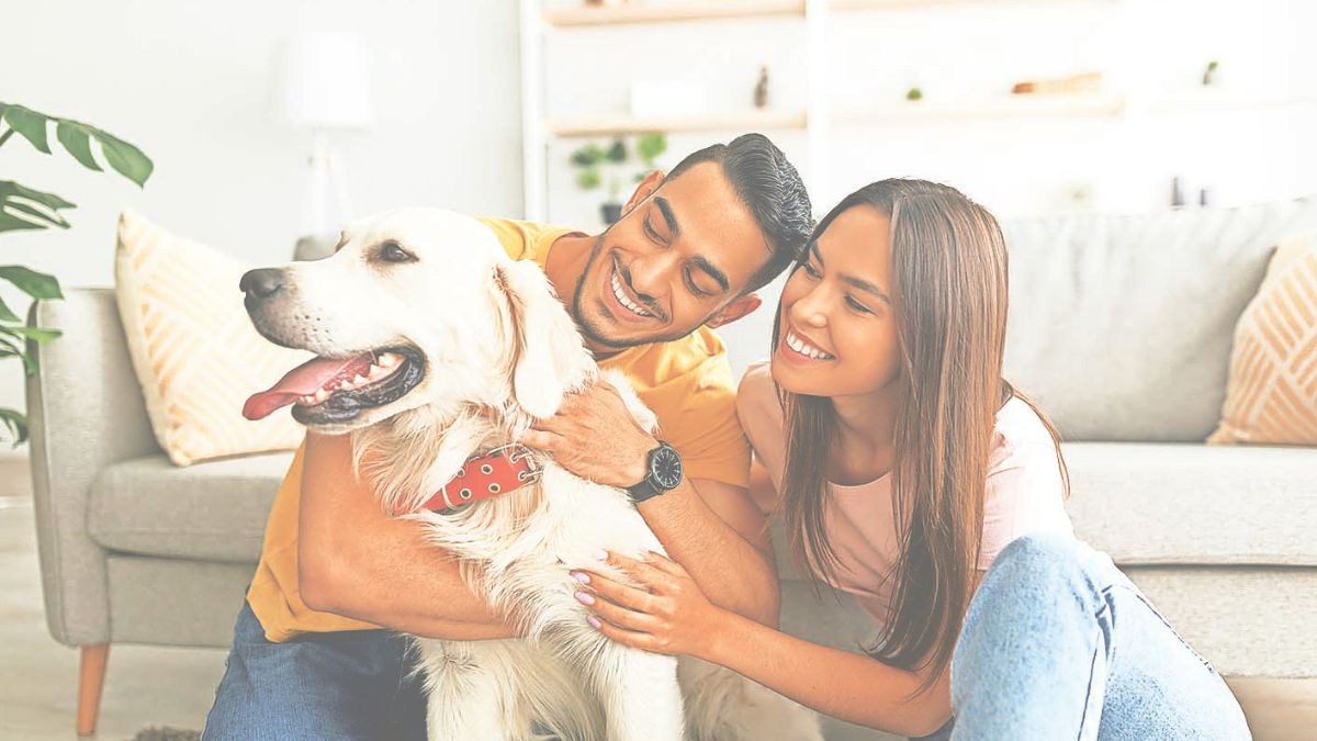 Pet Parenthood Emerges as New Family Structure