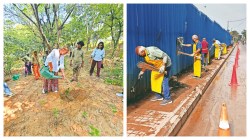 DIY Urbanism: How Indian citizens are cleaning, greening and reclaiming their cities
