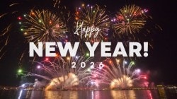 The year the easy answers ended