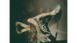 Tracing the stars with songlines