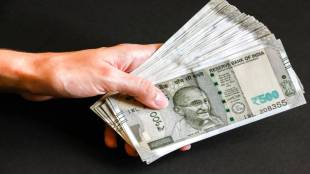 India domestic credit