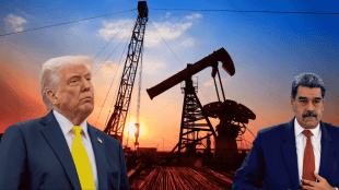 Analysts explain the real trade impact