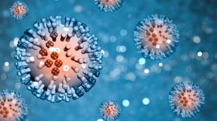 China Norovirus Outbreak