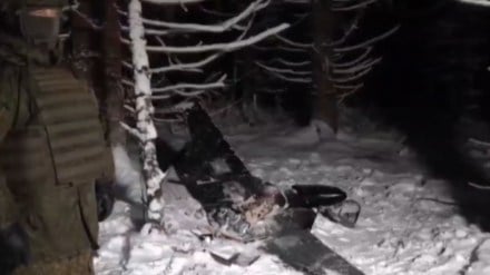 videos of alleged drone strikes on putin’s residence go viral as russia warns ukraine