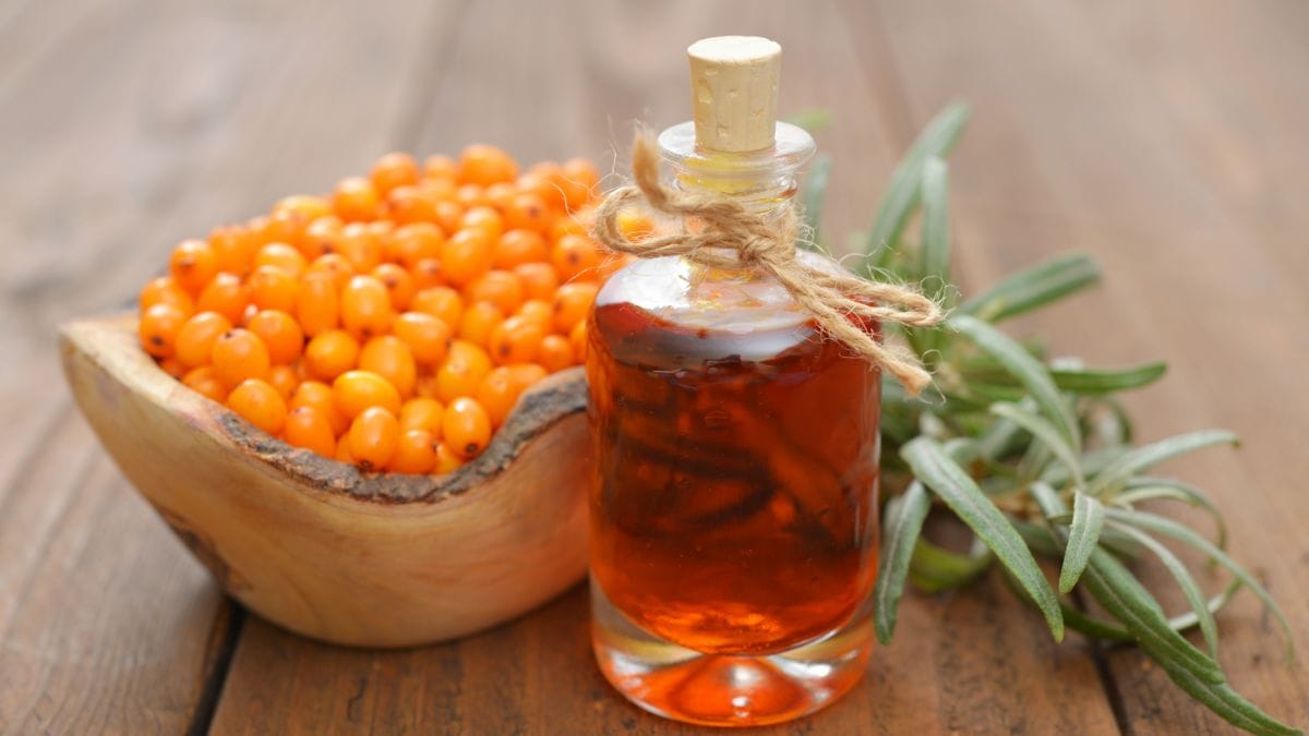 Sea Buckthorn