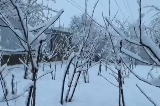 Gulmarg recorded over two feet of fresh snow, boosting winter tourism prospects. (Photo source: PTI)