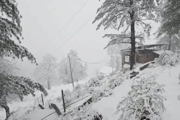 Sonamarg and Pahalgam also received fresh accumulation as snowfall continues in upper reaches. (Photo source: PTI)