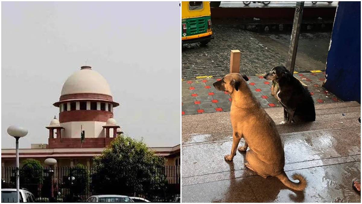 Supreme Court ruling on stray dogs