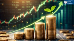 3 Penny Stocks That Attracted DII & FII Interest in Q3