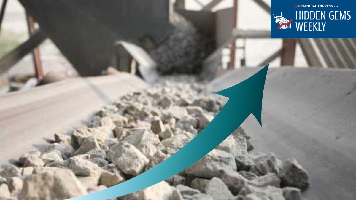 How this small-cap built a reliable moat in India’s core sector.