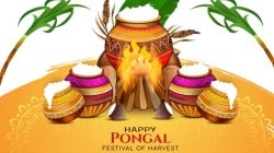 When is Pongal 2026? Bhogi, Thai, Mattu and Kanum dates, rituals and significance as per Drik Panchang
