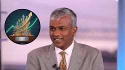 Dan Niles’ 2026 Stock Picks: Why This Top US Fund Manager is Betting Big on These 5 Names