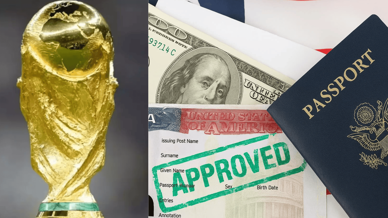 Indian Fan Secures US Visa Quickly with FIFA Pass