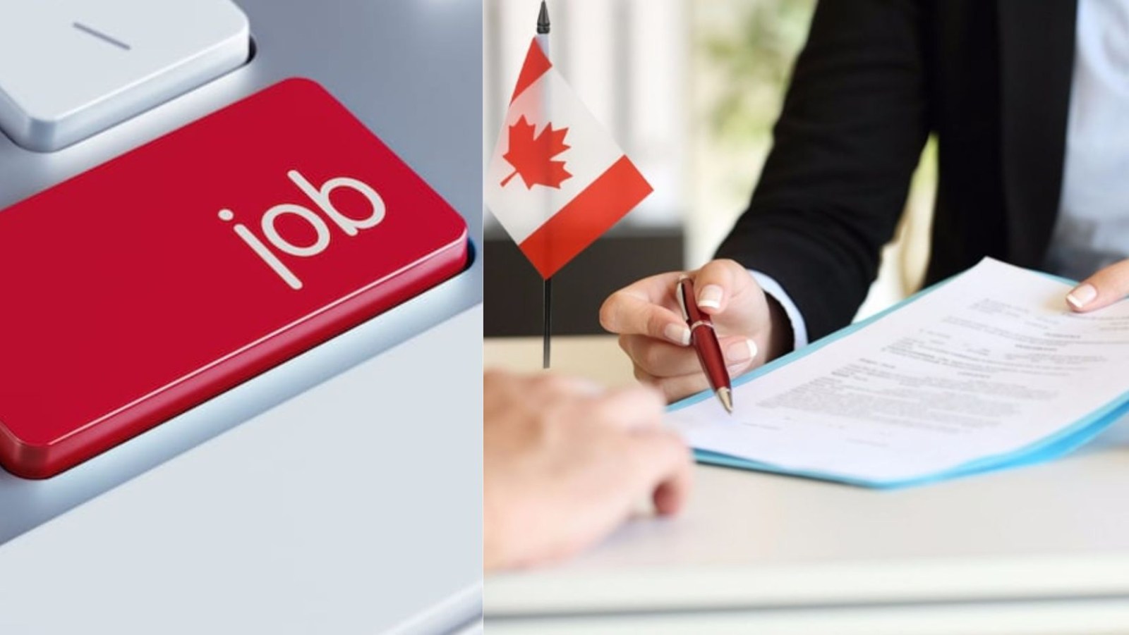 Canada PR made easier for international graduates: Top jobs that boost your express entry chances