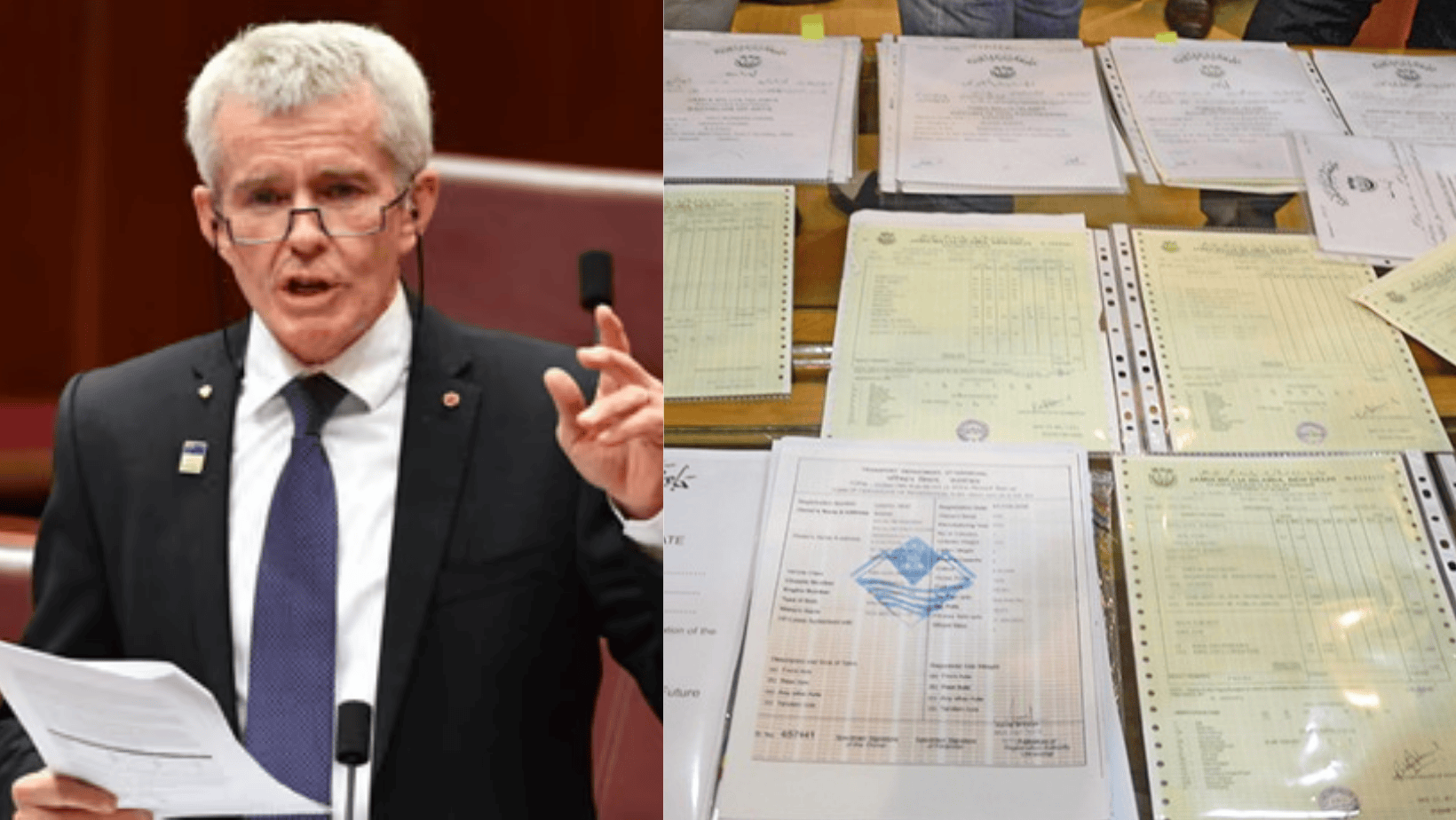 Senator Criticizes Australia's Handling of Fake Degrees
