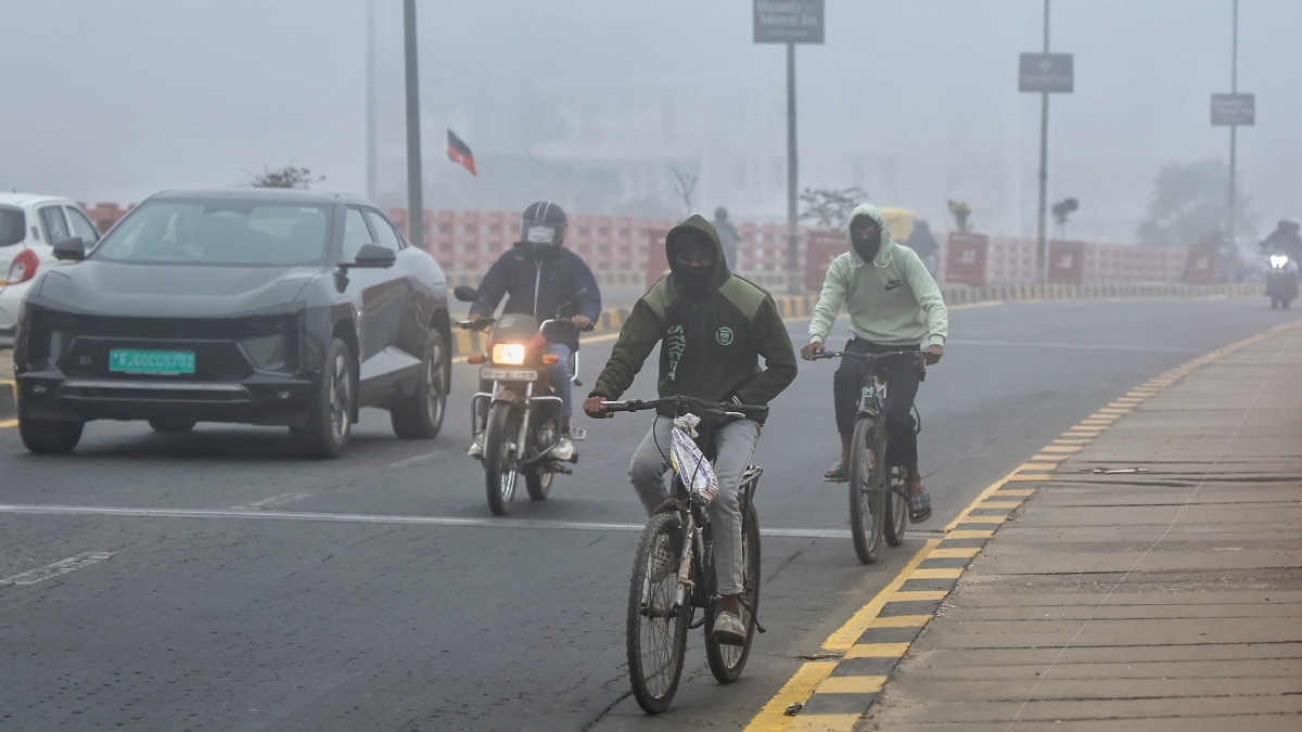IMD issues fog advisory for UP, Haryana, Madhya Pradesh, travel disruptions likely; Lucknow schools shut amid cold wave
