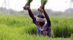 Mekedatu dam row: PMK demands Centre block Karnataka’s DPR, Congress defends project as farmers’ right
