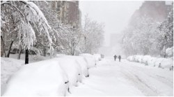 Winter storm Fern disrupts weekend travel: 15,000 US flights impacted amid historic storm