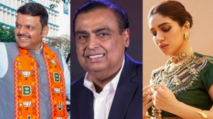 Davos 2026 India delegation