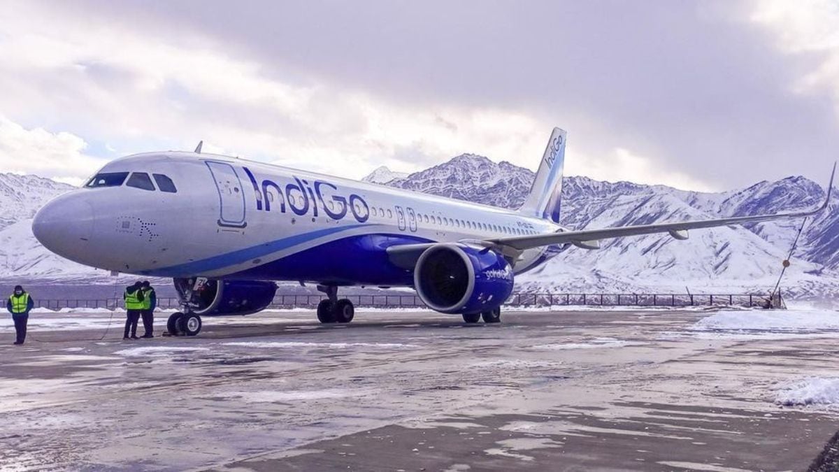 IndiGo Q3 results, IndiGo share price