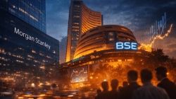 Forget defensives: Morgan Stanley is ‘Overweight’ on 3 sectors-Trent, Titan, 8 more in 2026 focus list